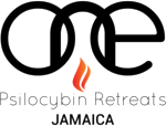 ONE Retreats